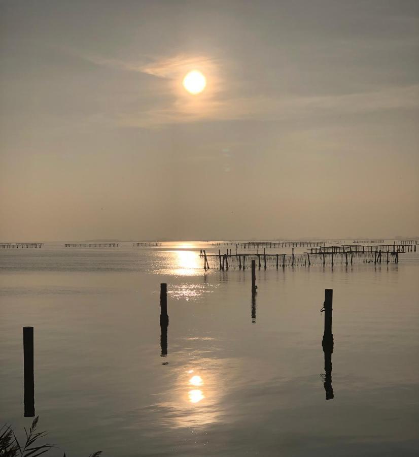 Mare&Terra... Alloggi Nel Delta Polesine Camerini Экстерьер фото